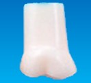 REPOSICIÓN DE DIENTES DE 1 CAPA PARA MAXILAR DE ENCIA BLANDA -  NISSIN DENTAL