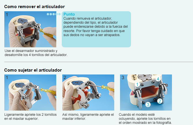 ARTICULADOR PARA MAXILAR TIPO FEM